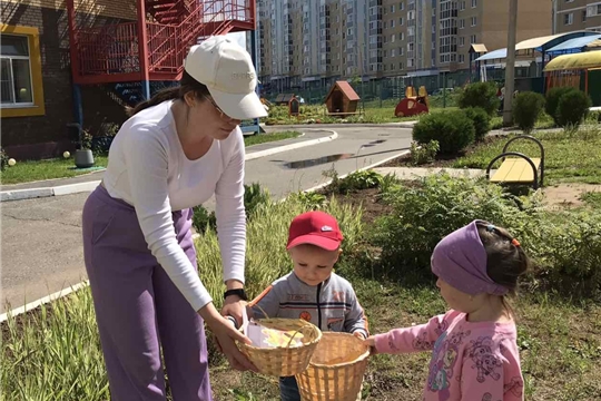 Осторожно, ядовитые грибы!