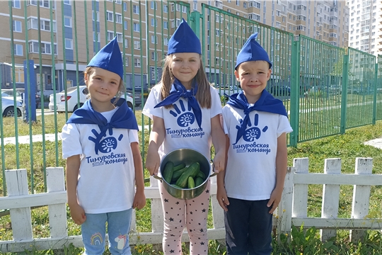 "Тимуровцы собирают урожай"