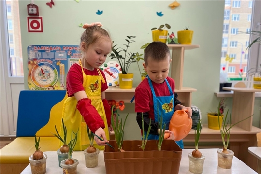 Реализация познавательно – исследовательского проекта "Лук-наш друг"