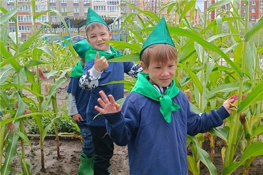 Юные тимуровцы спешат на помощь!