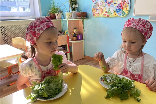 Беседа о пользе зелени