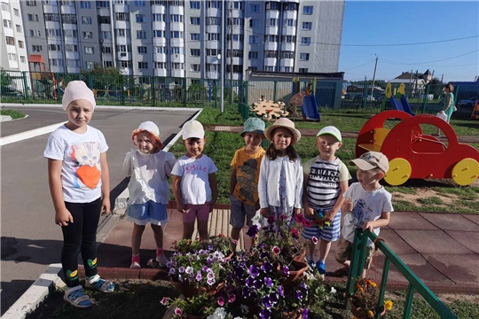 Знакомство с живой природой