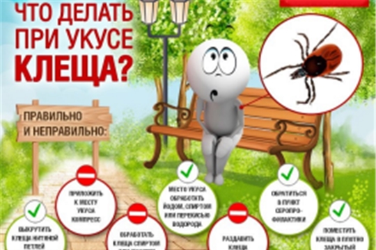 Опасные насекомые 