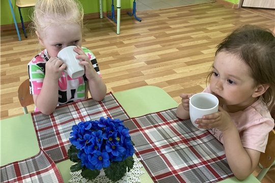 Питьевой режим в летний период