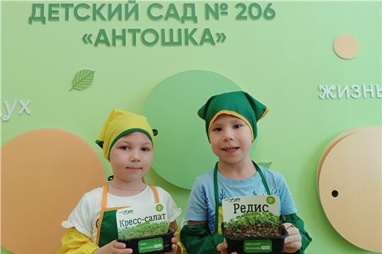 Огород на подоконнике