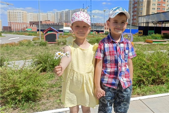 Акция" Я дарю тебе ромашку"