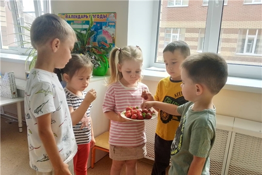 Польза клубники