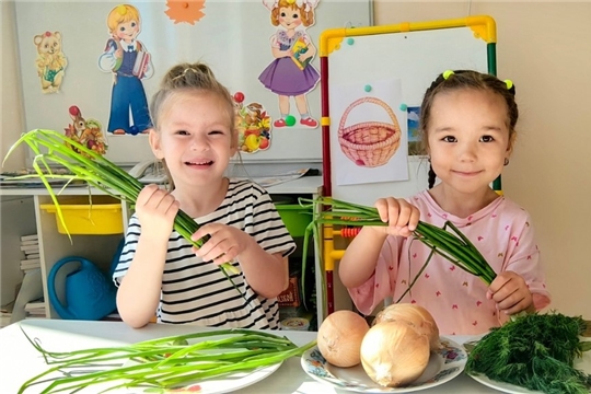 Всероссийский день лука