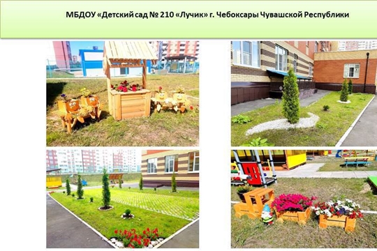 Призеры ежегодного республиканского смотра-конкурса на лучшее озеленение и благоустройство населенных пунктов получат гранты