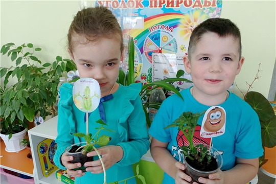 Дошкольный возраст – самоценный этап в развитии экологической культуры