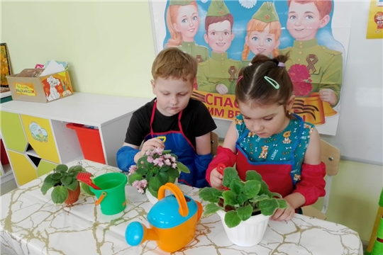 Воспитанники продолжают участвовать в акции "Цветок ветерану"