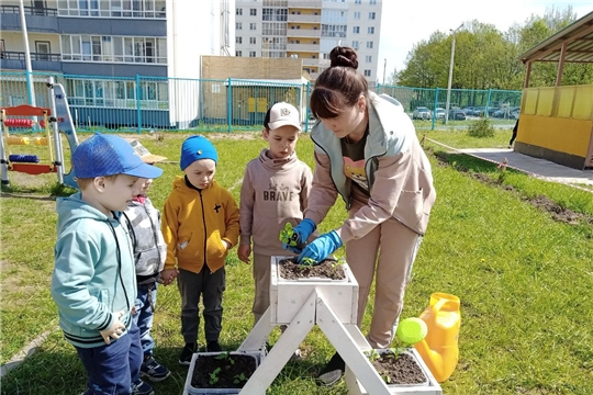 Воспитанники с любовью сажают цветы на территории
