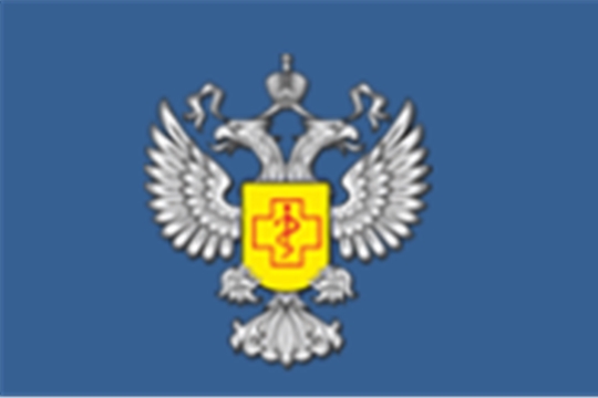 Управление Роспотребнадзора по Чувашской Республике - Чувашии проводит горячую линию по вопросам качества и безопасности детских товаров к Новому году