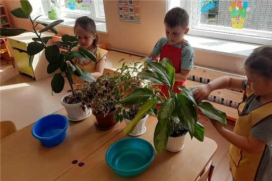 Организация дежурства в уголке природы