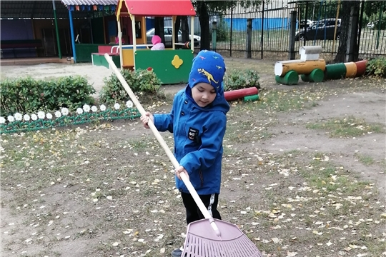 уборка листвы на своем участке