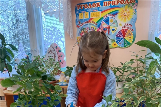 Трудовое воспитание