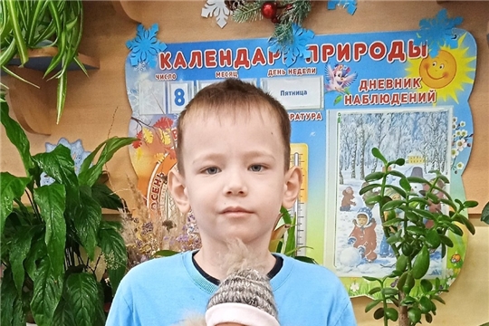 Дидактическая кукла в уголке природы