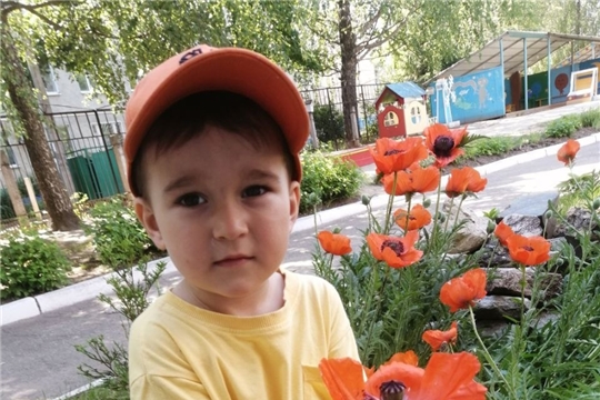 Красота вокруг нас