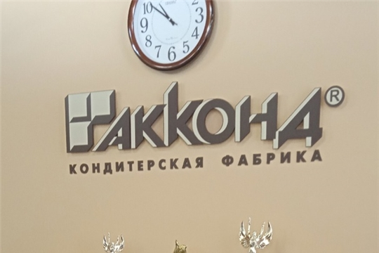 Муниципальный проект "По родному краю с рюкзаком шагаю"