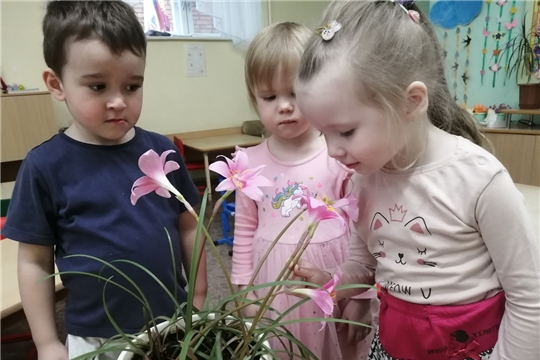Цветы в жизни человека.