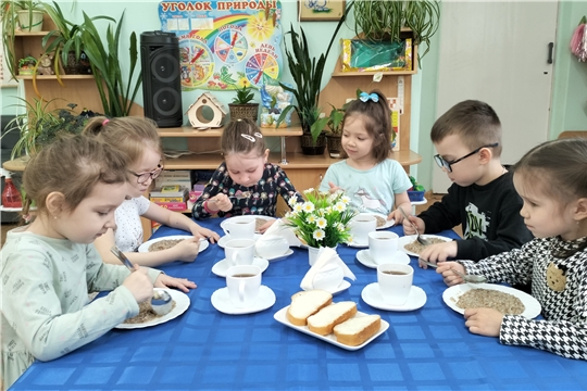 ПОЛЕЗНЫЕ МОЛОЧНЫЕ КАШИ.