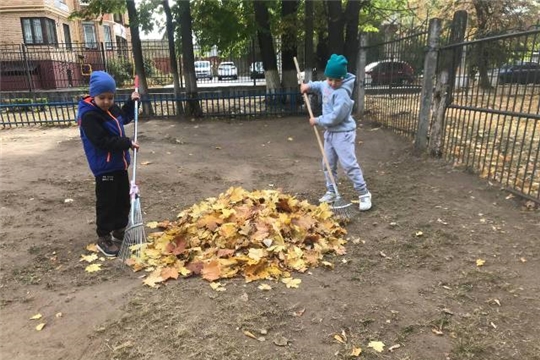 Трудовое воспитание