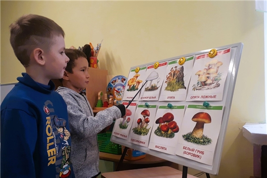 Осторожно, ядовитые грибы и ягоды