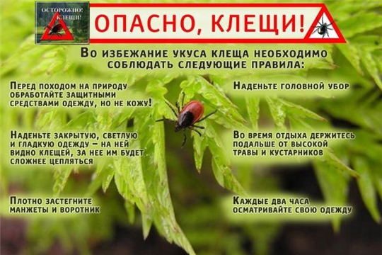 Осторожно! Клещи!