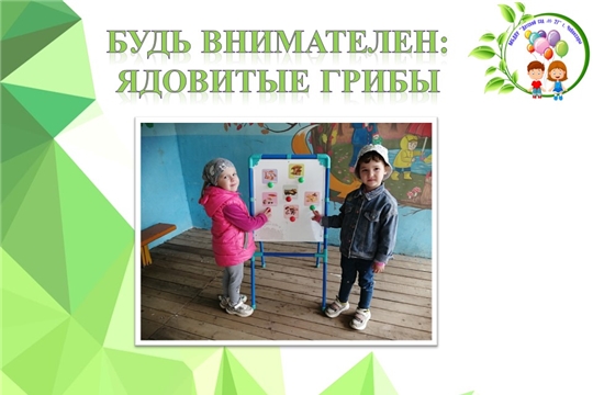 Будь внимателен: ядовитые грибы