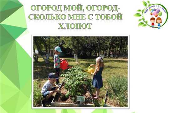 Огород мой, огород- сколько мне с тобой хлопот