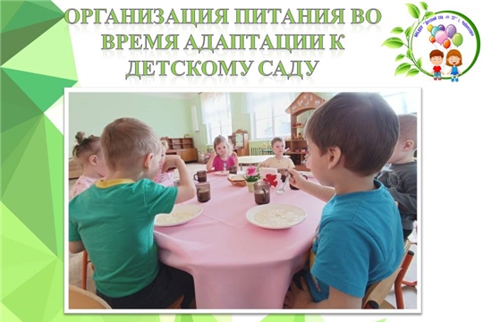 Организация питания во время адаптации к детскому саду