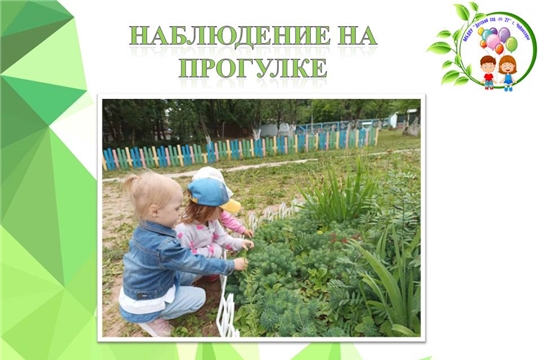 Наблюдение на прогулке