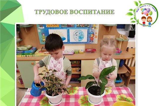 Трудовое воспитание