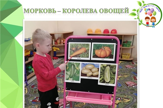 Морковь - королева овощей