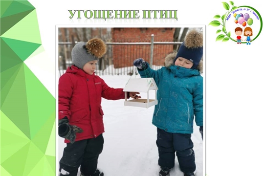 Угощение птиц зимой