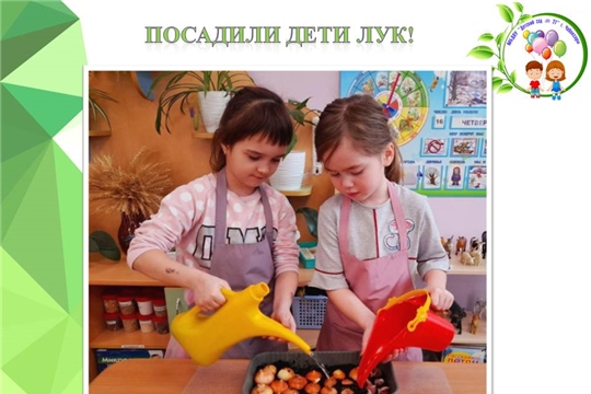 Посадили дети лук!