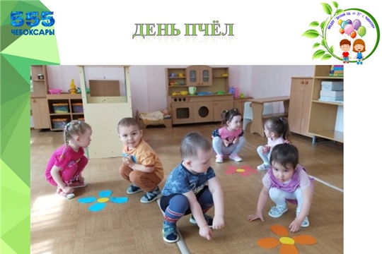 День пчёл