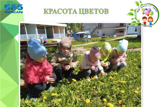 Красота цветов