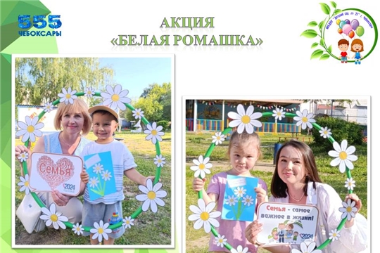 Акция "Белая ромашка"