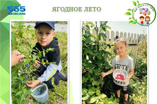Польза ягод