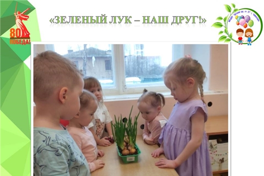 "Зеленый лук - наш друг!"