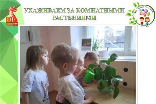 Ухаживаем за комнатными растениями