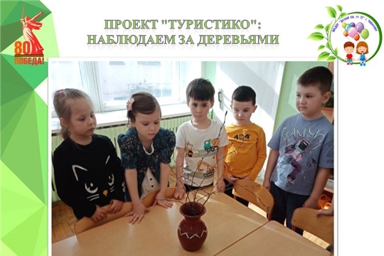 Проект "ТУРИСТиКО": наблюдаем за деревьями