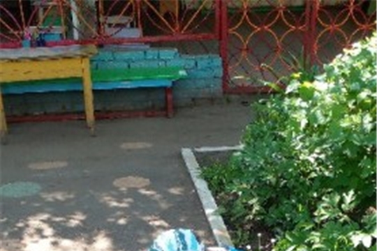 Рисование мелом на асфальте