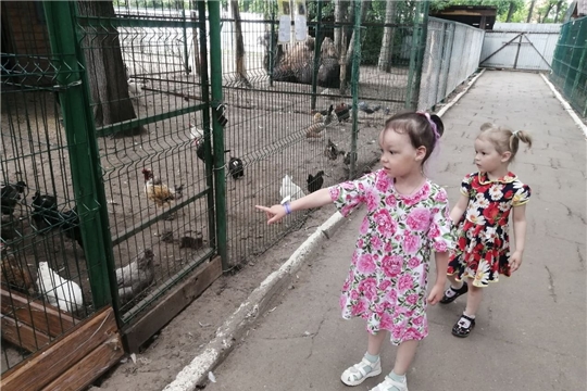 По родному краю с рюкзаком шагаю