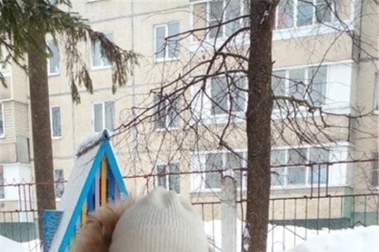 Птицам трудно приходится зимой