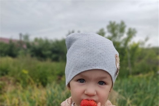 🍓Любимое летнее лакомство наших воспитанников-это земляника.