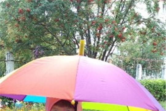 Парад летних зонтиков