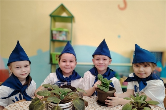 Цветок ветерану