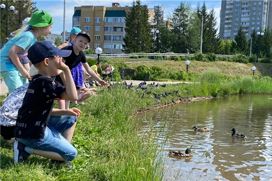 Безопасность на водоемах в летний период. 